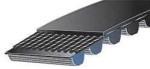 Pasek rozrzadu BMW 316 318 E36 CT589